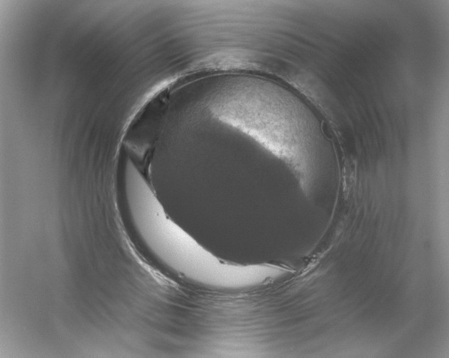X0000053130438200507251753