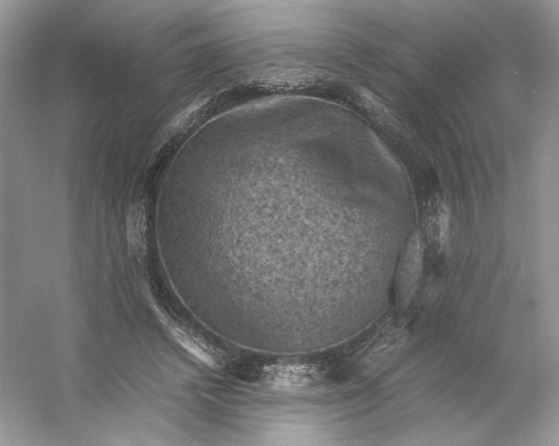 X0000053130448200507251753