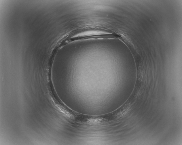 X0000053130450200507251753
