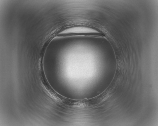 X0000053130454200507251754