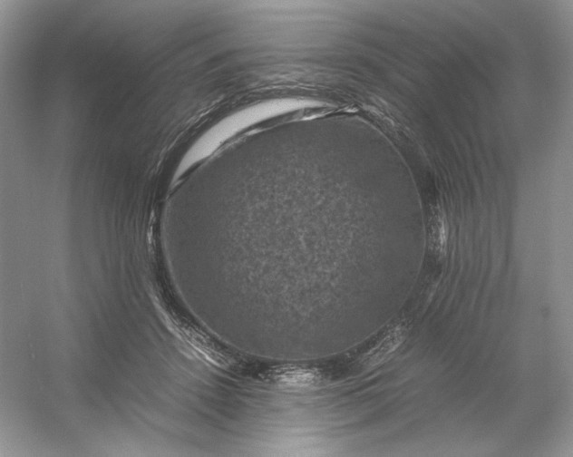 X0000053130456200507251754