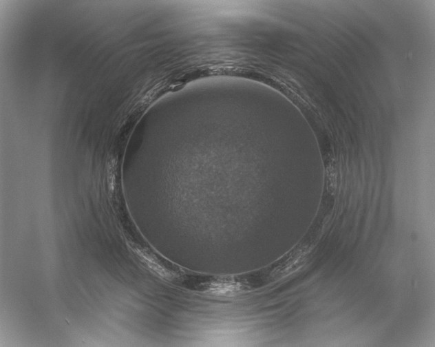 X0000053130458200507251754