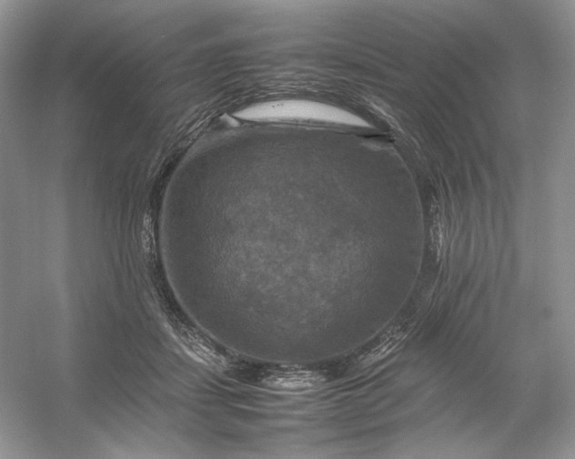 X0000053130459200507251754