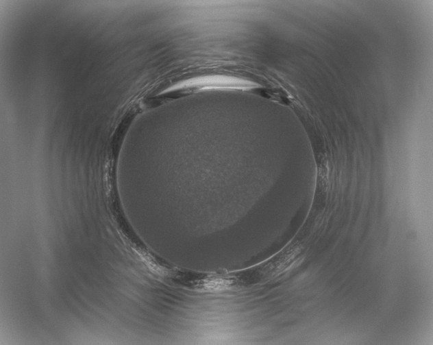 X0000053130462200507251754