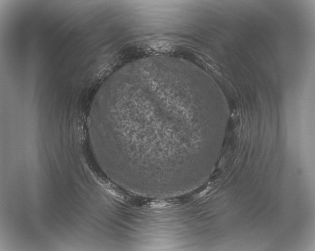 X0000053130464200507251754