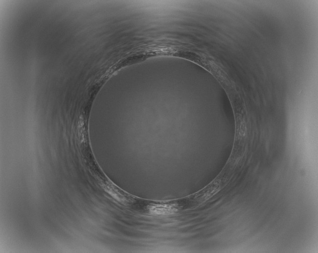 X0000053130465200507251754
