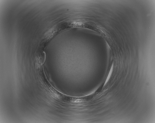 X0000053130467200507251754