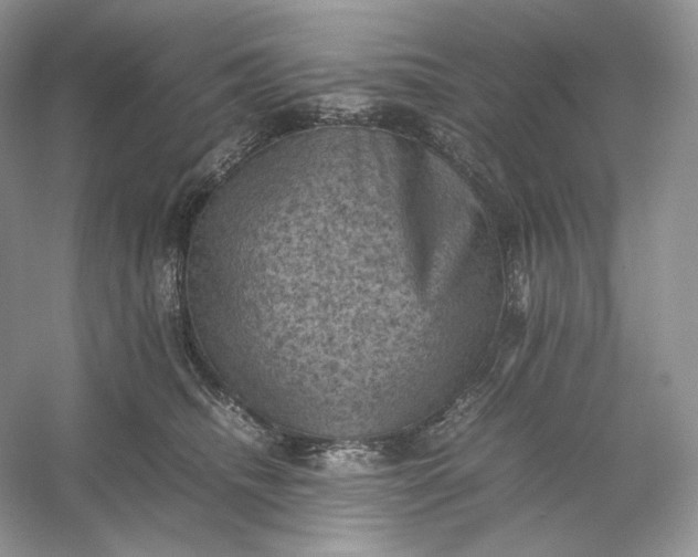 X0000053130468200507251754