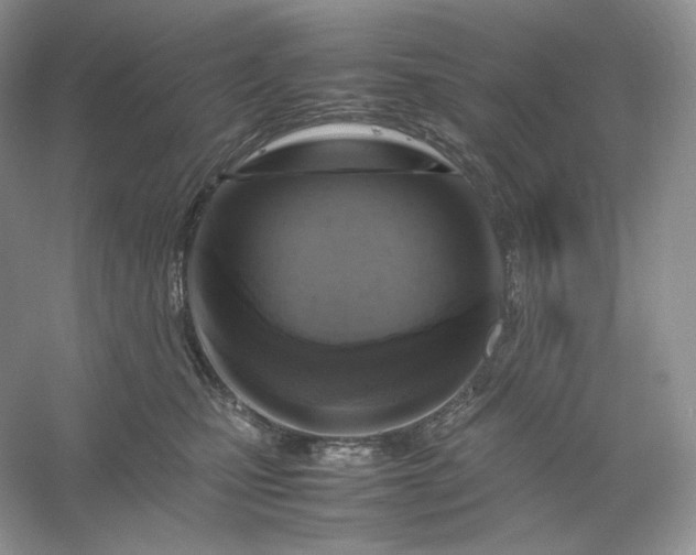 X0000053130471200507251754
