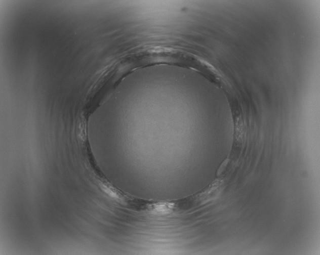 X0000053130474200507251754