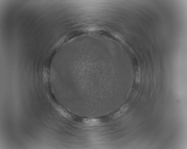 X0000053130476200507251754
