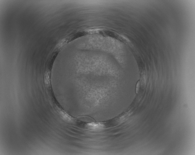 X0000053130477200507251754