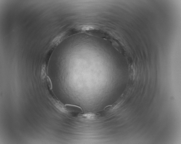 X0000053130478200507251754