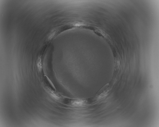 X0000053130479200507251754