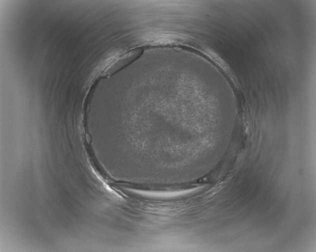 X0000053130485200507251753