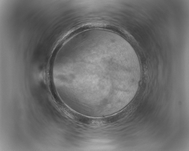 X0000053130487200507251753