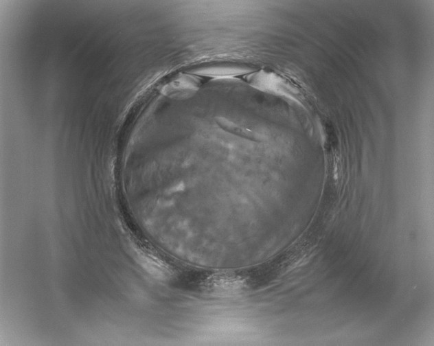 X0000053130491200507251753