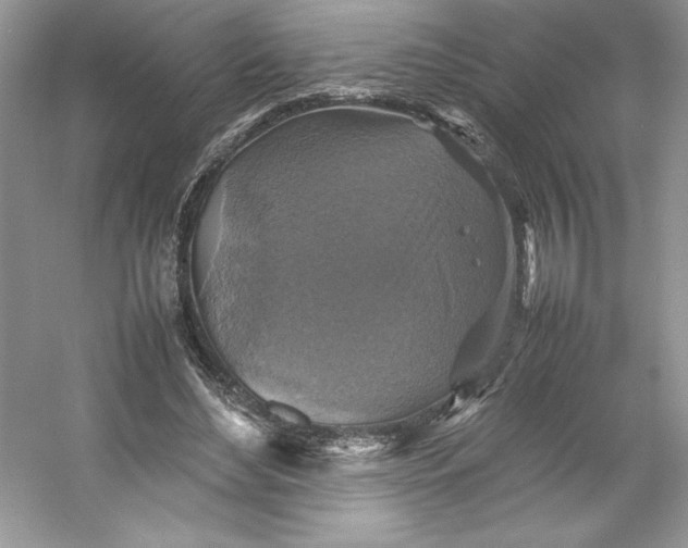 X0000053130492200507251753