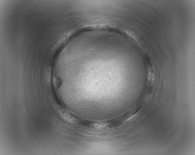 X0000053130495200507251753