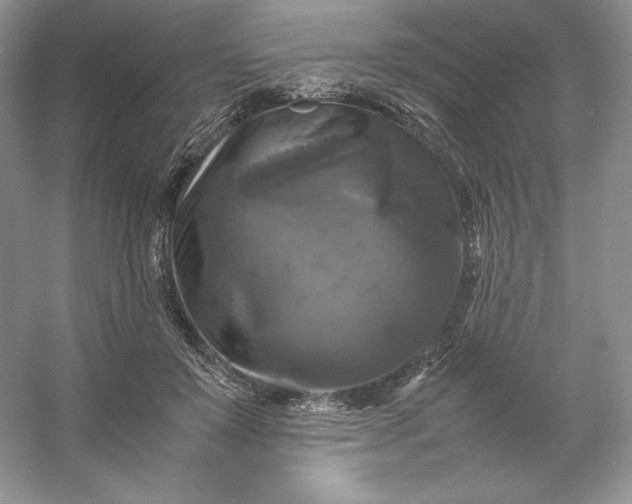 X0000053130503200507251753
