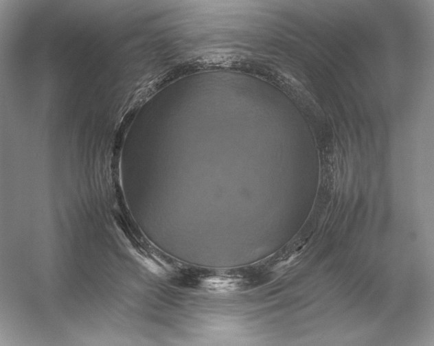 X0000053130504200507251753