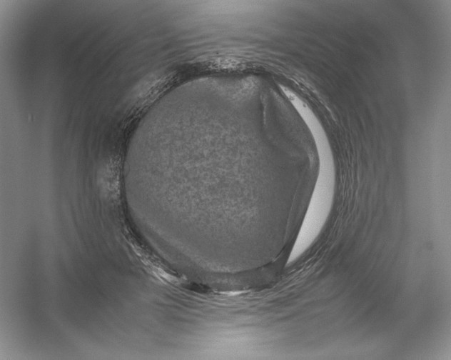 X0000053130505200507251753