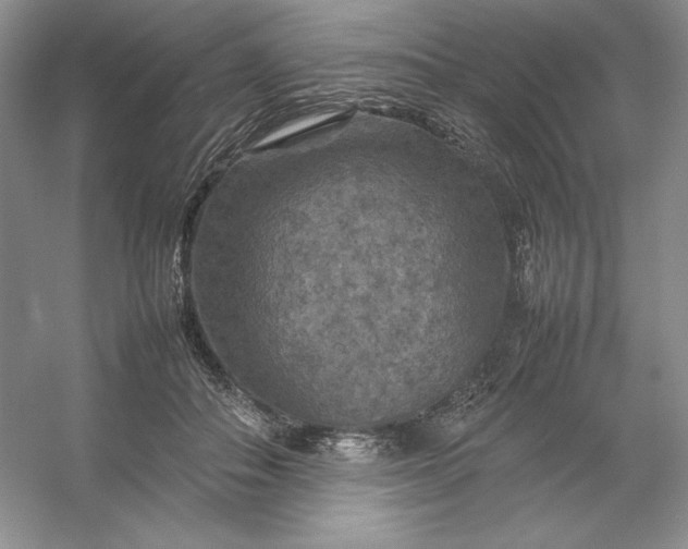 X0000053130506200507251753