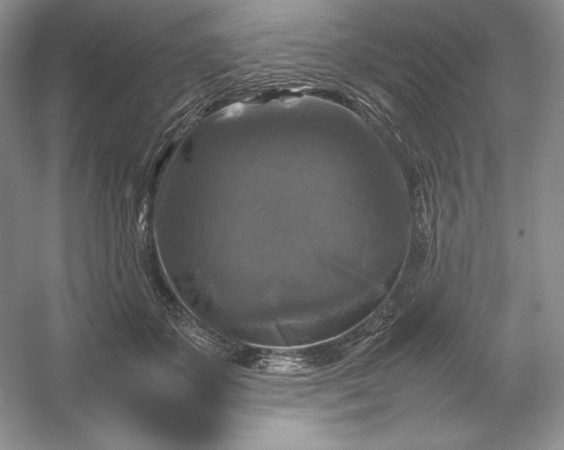X0000053130507200507251753