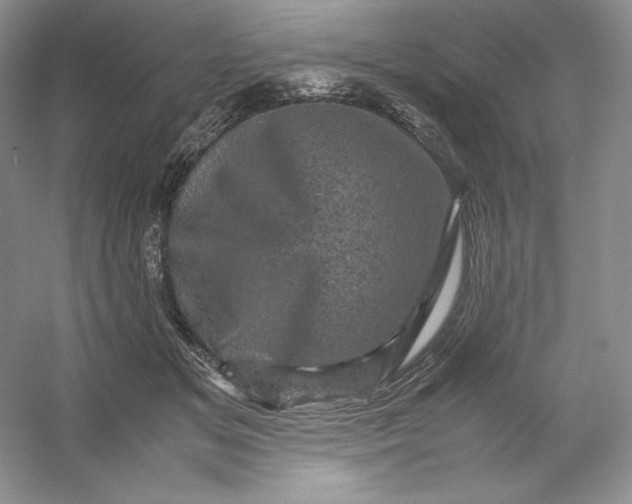 X0000053130509200507251753