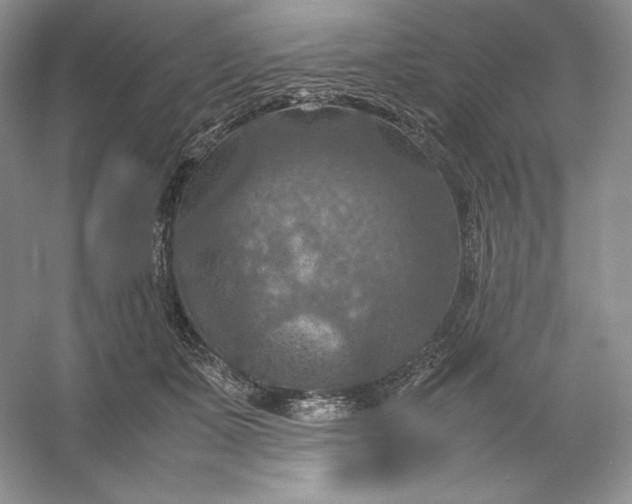 X0000053130511200507251753