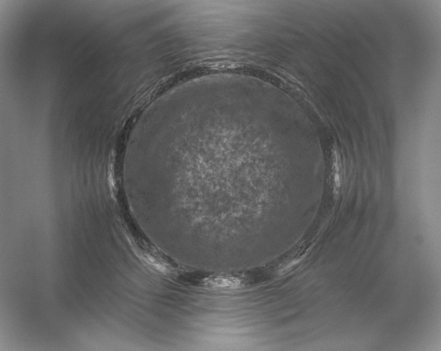 X0000053130512200507251753