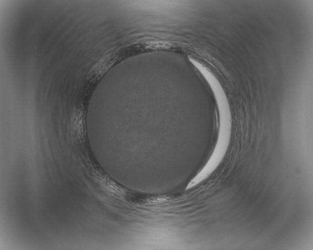 X0000053130513200507251753
