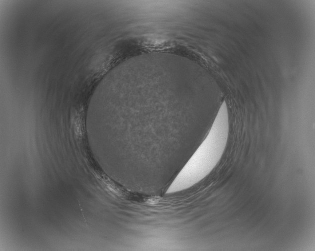 X0000053130515200507251753