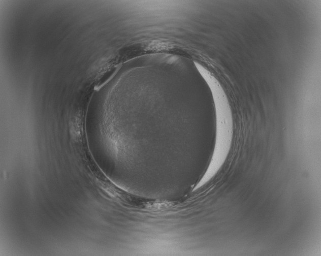 X0000053130517200507251753