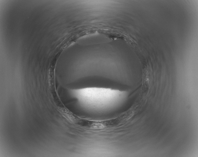 X0000053130519200507251752