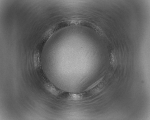 X0000053130522200507251752