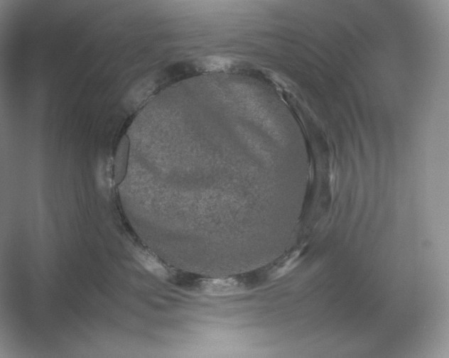 X0000053130525200507251752