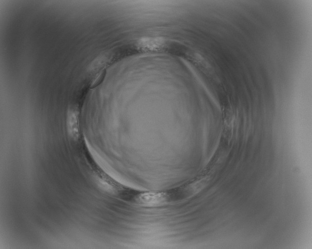 X0000053130526200507251752