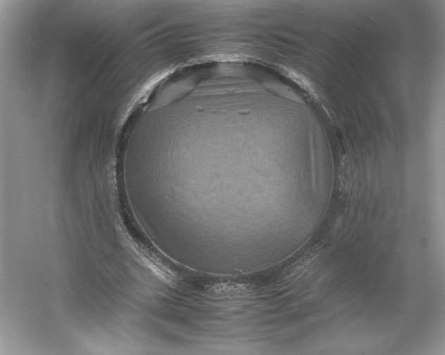 X0000053130535200507251752