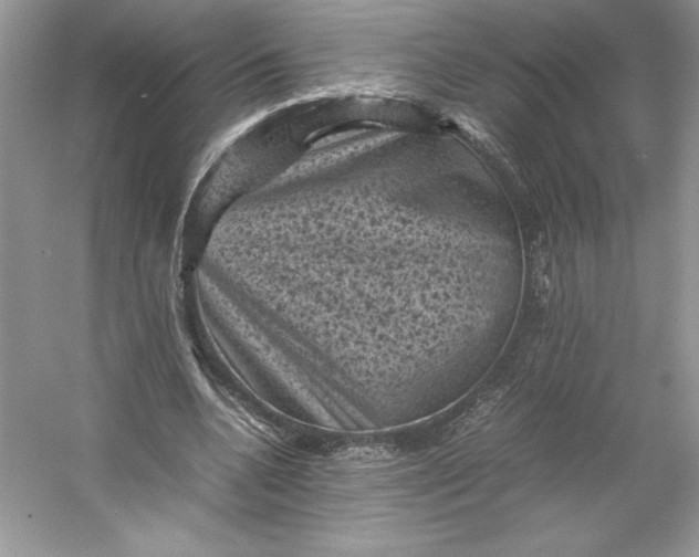 X0000053130536200507251752
