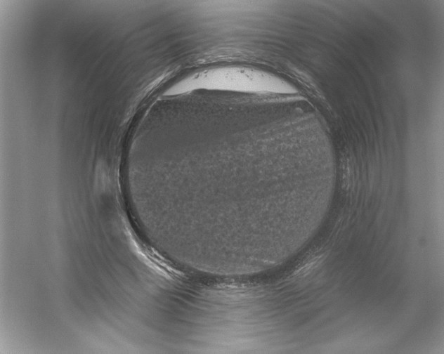 X0000053130538200507251752