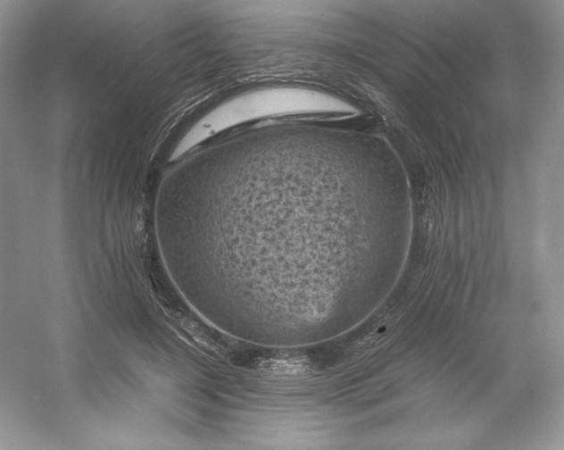 X0000053130548200507251752