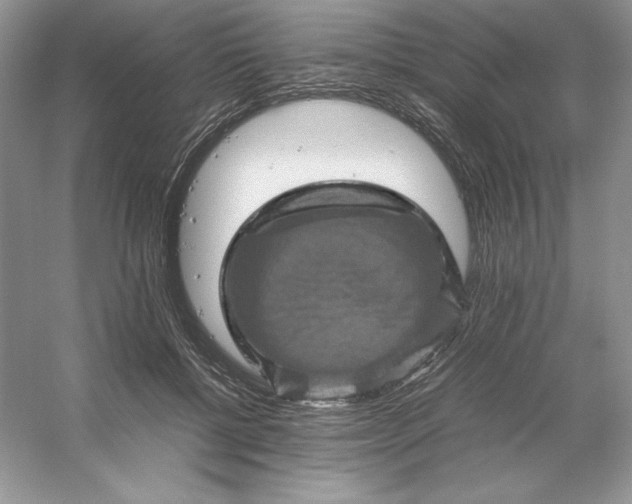 X0000053130552200507251752