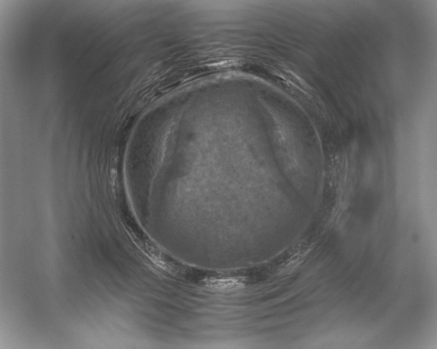 X0000053130553200507251752
