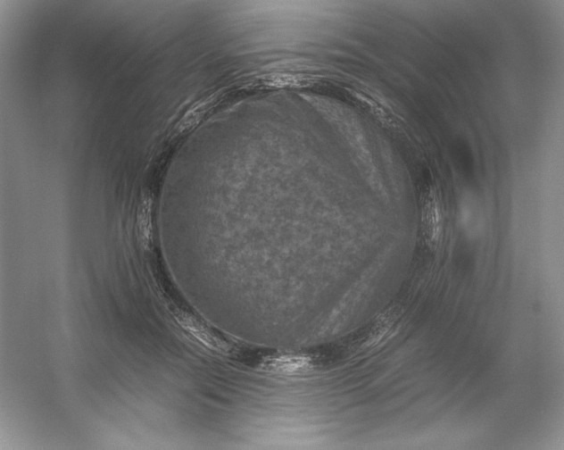 X0000053130554200507251752