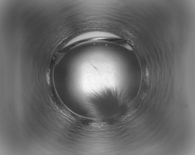 X0000053130556200507251752