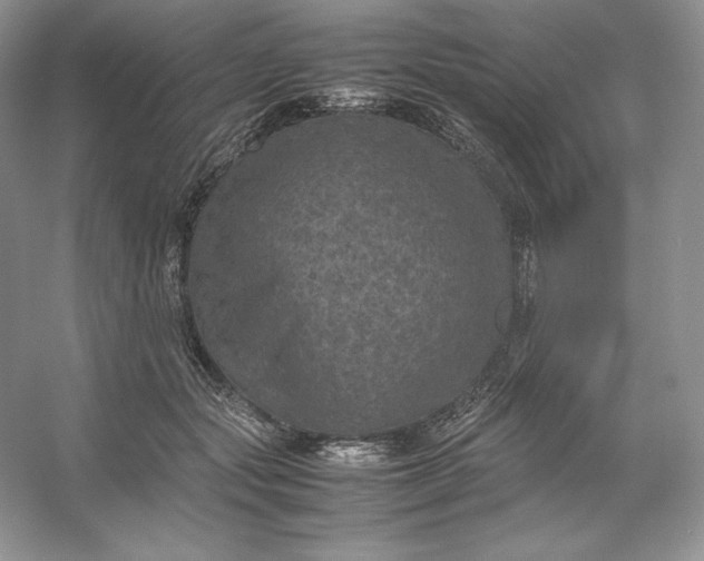 X0000053130557200507251752