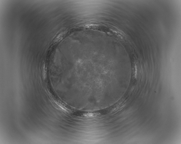 X0000053130558200507251752