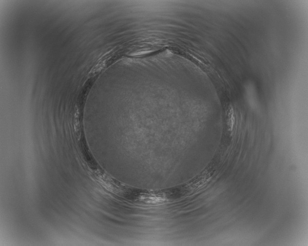 X0000053130559200507251752
