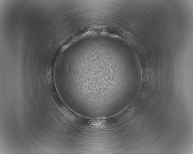 X0000053130560200507251752